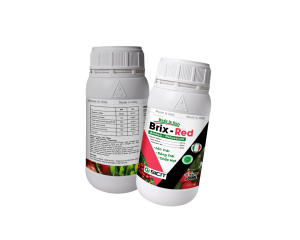 Brix Red - Amino axit và Kali