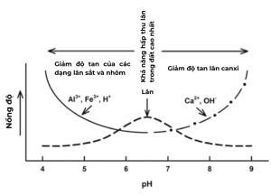 Lân 2 chiều