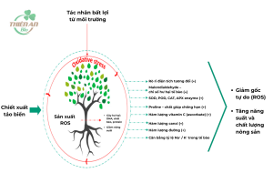 chống stress