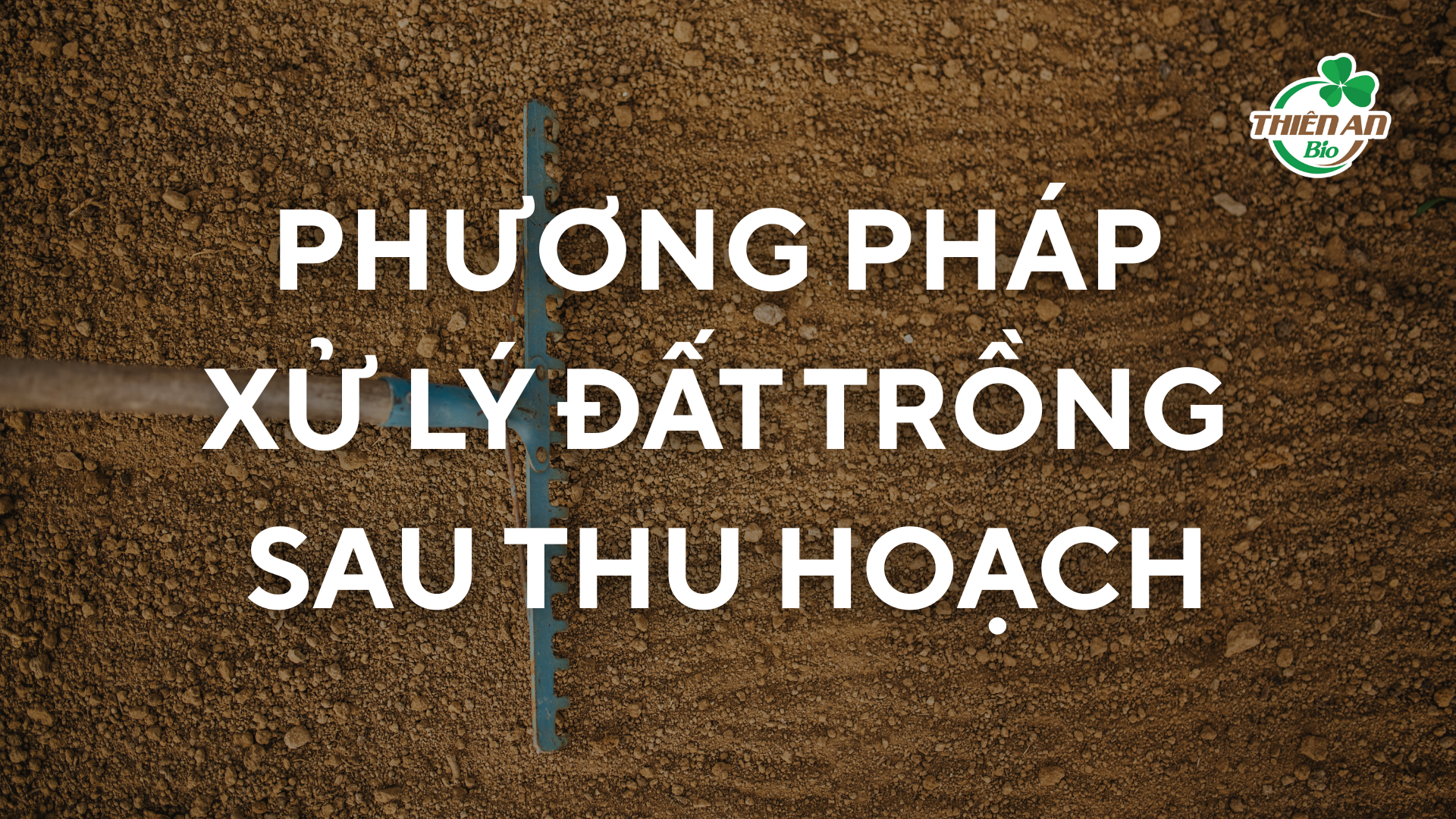 Xử Lý Đất Trồng – Bước Quan Trọng Cho Vụ Sầu Riêng Mới