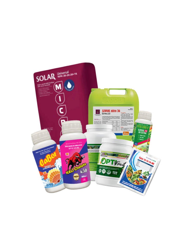 Dinh dưỡng khoáng