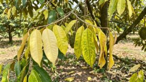 A10031e6 A5e9 4bf9 Aa9d F9cb073bde28