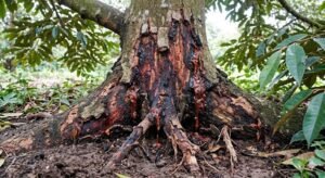 B8d6b654 5c10 4431 8539 7e8271457043