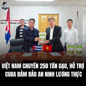 Z7588350051035 Dca3615df4fb57a083adf1a82f30ffff