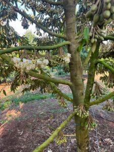 667831046 122370411344013123 1902049811667857919 N