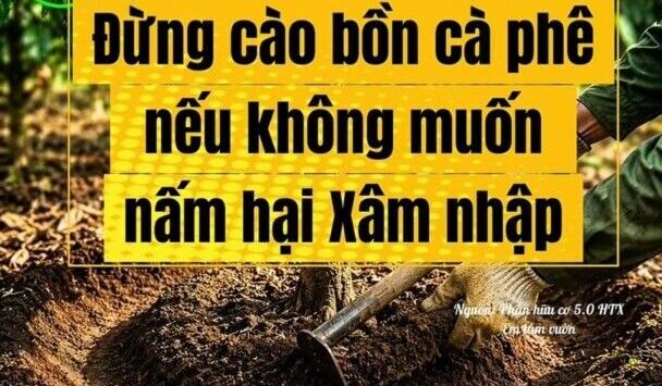 BÁC SỸ CÂY TRỒNG – Làm nông nên bắt nguồn từ việc nuôi đất, đất sẽ nuôi cây