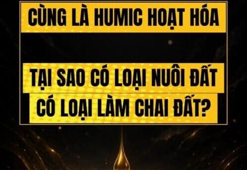BÁC SỸ CÂY TRỒNG – Humic hoạt hóa