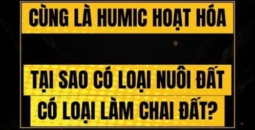 BÁC SỸ CÂY TRỒNG – Humic hoạt hóa