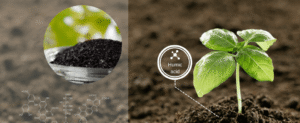 Axit Humic Ctbio.vn 