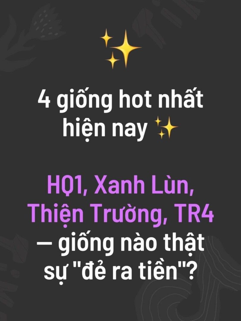GIỐNG CÀ PHÊ NÀO THẬT SỰ “ĐẺ RA TIỀN”???