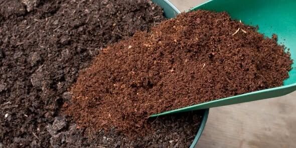 BÁC SỸ CÂY TRỒNG – Tỷ lệ trộn Đất, Xơ Dừa, Tro Trấu cho cây trồng