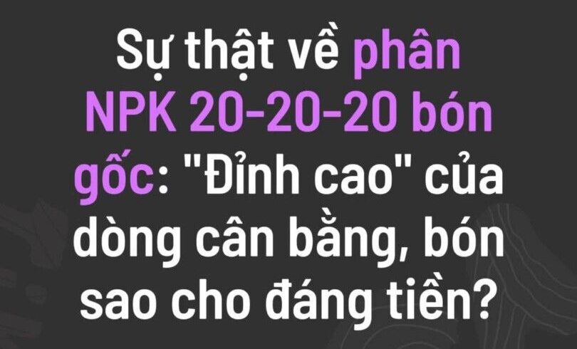 NPK 20-20-20 “Đỉnh cao của dòng cân bằng”