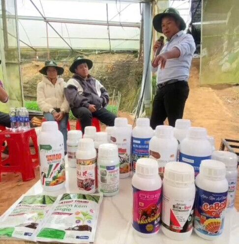 THIÊN AN BIO ĐỒNG HÀNH CÙNG NHÀ VƯỜN HOA CÚC TẠI ĐÀ LẠT