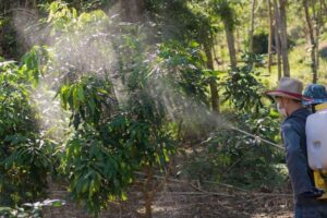 Insecticides