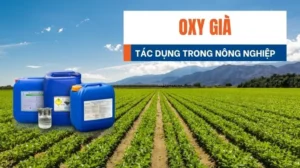 Ung Dung Cua H2o2 Gia Trong Nong Nghiep